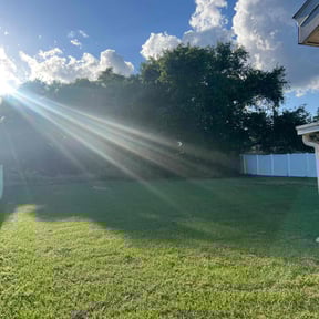 lawn service by Flores Garden Landscapes reviewed on March 5, 2024