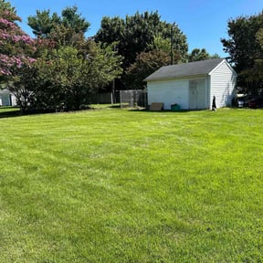 yard maintenance by CEJLANDSCAPING reviewed on November 26, 2025