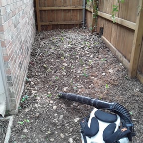 Leaf Removal by High Standards reviewed on August 17, 2025