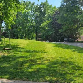 landscape maintenance by Mott's lawns reviewed on August 18, 2025