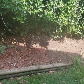Flower Bed Weeding by Milagro lawn care reviewed on August 20, 2025
