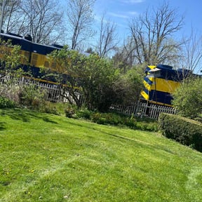 Leaf Removal by Ground Pro Maintenance, LLC. reviewed on September 17, 2025