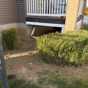 turf care by Coordin8 Services reviewed on August 10, 2025