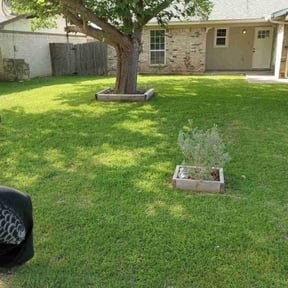 yard service by Terra Dura Landscapes LLC reviewed on August 15, 2025