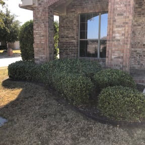 Bush Trimming by Krispy Kutz Landscaping & More reviewed on August 15, 2025