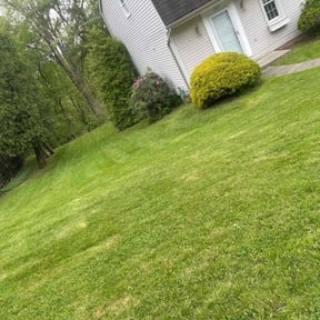 turf care by Everything Gregory Llc  reviewed on May 3, 2024