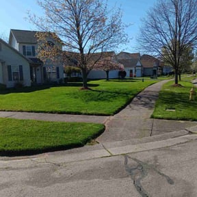 yard service by Lawn Busters LLC reviewed on August 20, 2025
