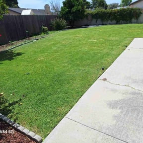 lawn care services by Best Green Area reviewed on August 16, 2025