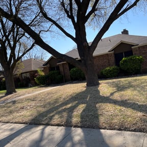 Leaf Removal by Vincent Landscaping Corp reviewed on September 19, 2025