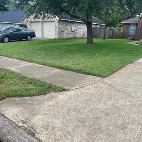 landscaping by Lionel j lee reviewed on August 15, 2025