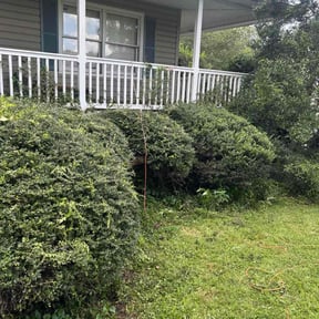 Bush Trimming by Bowkley Roofing &amp; Handyman reviewed on December 4, 2025