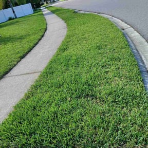 grass cutting by Your Yard Guy reviewed on August 20, 2025