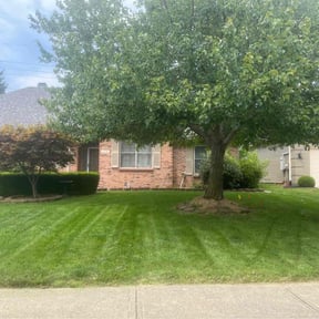 gardening service by Klimek Landscaping reviewed on August 19, 2025