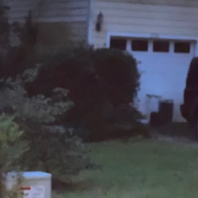 Bush Trimming by Medina's maintenance reviewed on August 20, 2025
