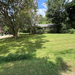 yard service by M&amp;D Lawncare reviewed on December 1, 2025