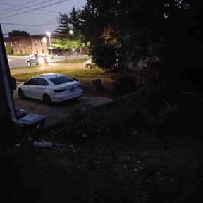 Bush Trimming by Paradise landscaping llc reviewed on November 6, 2025