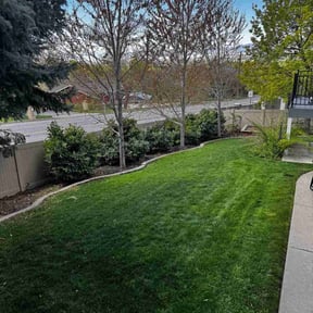 gardening service by Accelerated Services reviewed on August 20, 2025