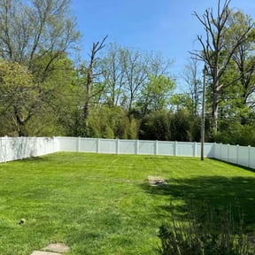 residential landscaping by Lawns by leo reviewed on August 16, 2025
