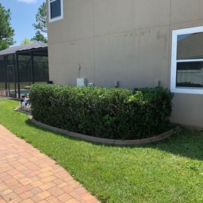 Bush Trimming by Dan's Lawn & Landscaping reviewed on August 17, 2025