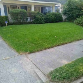 turf care by Lawnstars reviewed on May 9, 2024