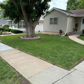 residential landscaping by Daniel campos reviewed on August 21, 2025