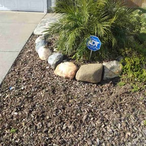 Flower Bed Weeding by The guy property maintenance reviewed on March 10, 2026