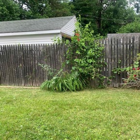 Bush Trimming by Smack Down lawns and tractor services reviewed on August 15, 2025