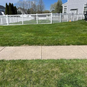 yard maintenance by Re Image lawn care reviewed on August 21, 2025