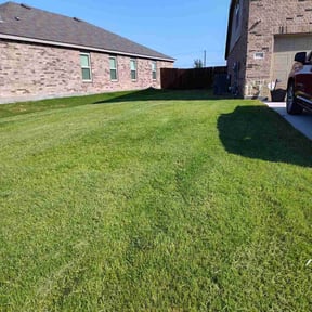 landscape maintenance by GoGreen Lawn Service reviewed on August 18, 2025