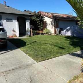 residential landscaping by Johnny's lawn reviewed on August 19, 2025