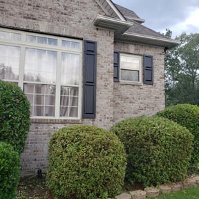 Bush Trimming by Moyer property service reviewed on August 21, 2025