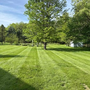 yard service by The lawn Service,LLC reviewed on August 17, 2025