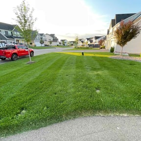 grass cutting by Arts Landscaping &amp; Maintenance reviewed on July 20, 2022