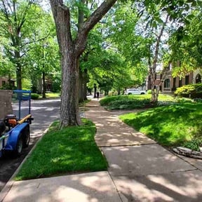 yard maintenance by David's lawn care reviewed on August 16, 2025