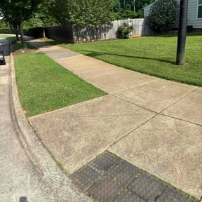 gardening service by Steve's Lawn Mowing and Odd Jobs reviewed on August 16, 2025