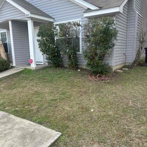 Bush Trimming by Clean Slate Cleaning & Lawn Care Services reviewed on August 18, 2025