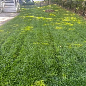 yard service by High Grass Lawn Care reviewed on November 21, 2025