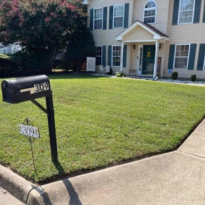 yard service by 3 daughters lawn care reviewed on August 20, 2025
