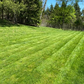 landscaping services by Ramos Landscaping reviewed on August 17, 2025