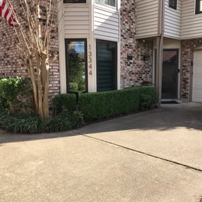 Bush Trimming by Pauls lawn cuts and more reviewed on August 19, 2025
