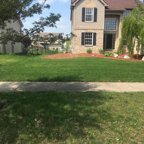 grass maintenance by jadeandarmani reviewed on July 24, 2025