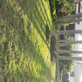 yard work by House Perfect reviewed on August 20, 2025