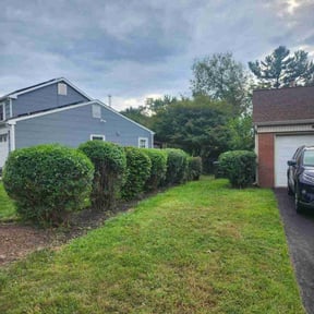 Bush Trimming by Cut N Wash LLC reviewed on November 19, 2025