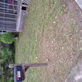 Bush Trimming by Gregory Lawn Service LLC reviewed on August 16, 2025