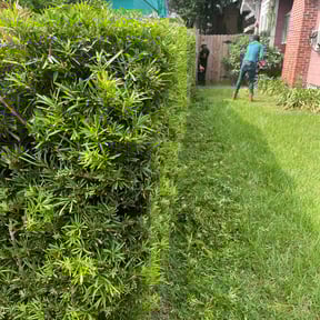 Bush Trimming by K2 landscape and maintenance reviewed on August 19, 2025