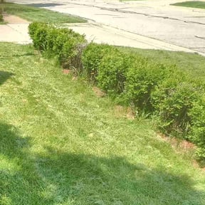 Bush Trimming by It's Dubble Better Lawn & haul reviewed on August 15, 2025