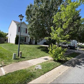 yard service by Diverse Capital Fence and Lawn Services reviewed on August 15, 2025