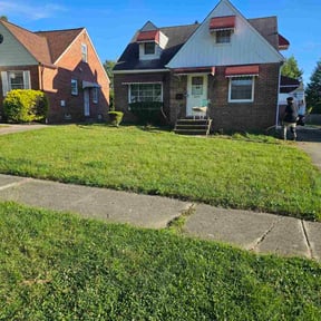 Bush Trimming by Fathers N Sons Lawn Care reviewed on November 22, 2025