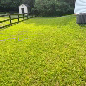 lawn care by Alston services reviewed on August 16, 2025