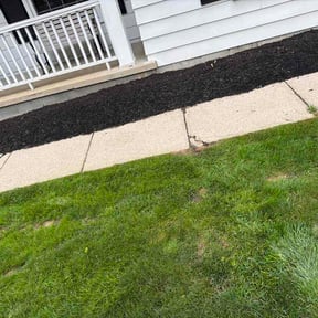 Flower Bed Weeding by Haywood Services reviewed on August 5, 2026
